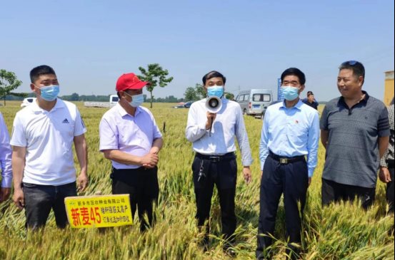 袁氏向山富硒面粉(袁氏肥料质量怎么样)-硒宝网