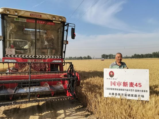 袁氏向山富硒面粉(袁氏肥料质量怎么样)-硒宝网