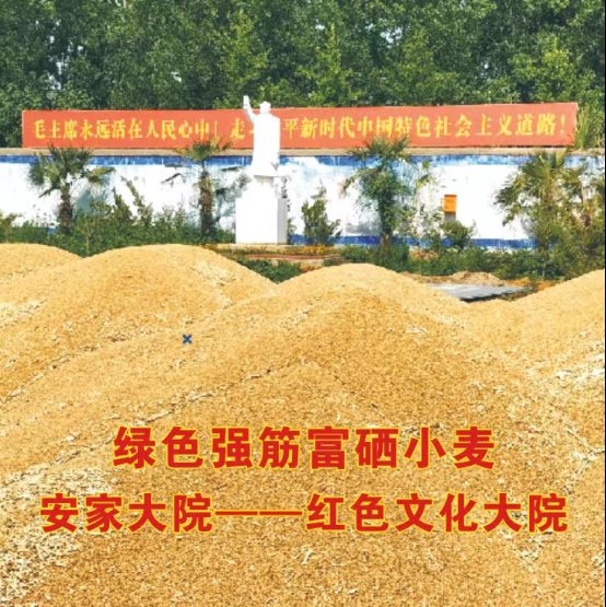 袁氏向山富硒面粉(袁氏肥料质量怎么样)-硒宝网