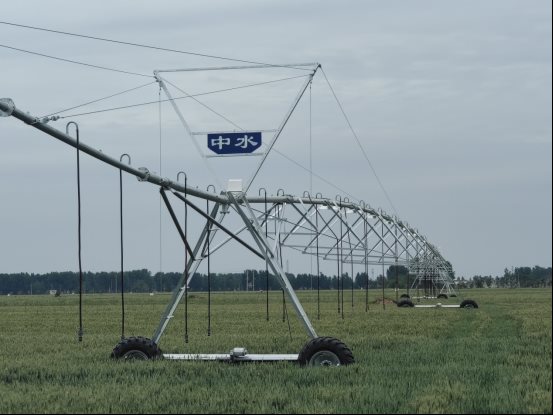 袁氏向山富硒面粉(袁氏肥料质量怎么样)-硒宝网