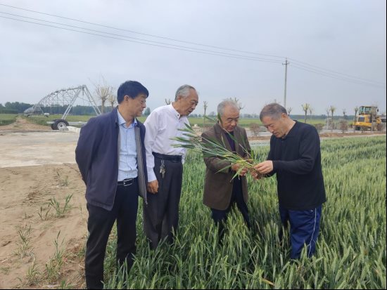 袁氏向山富硒面粉(袁氏肥料质量怎么样)-硒宝网