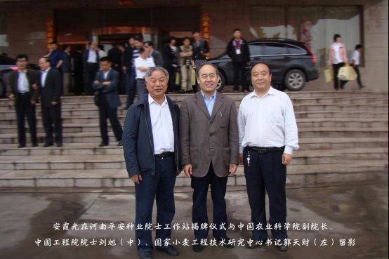 袁氏向山富硒面粉(袁氏肥料质量怎么样)-硒宝网