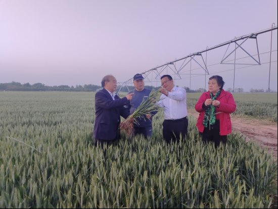 袁氏向山富硒面粉(袁氏肥料质量怎么样)-硒宝网