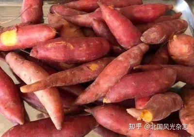 密薯是富硒地瓜吗（富硒蜜薯是转基因的吗）-硒宝网