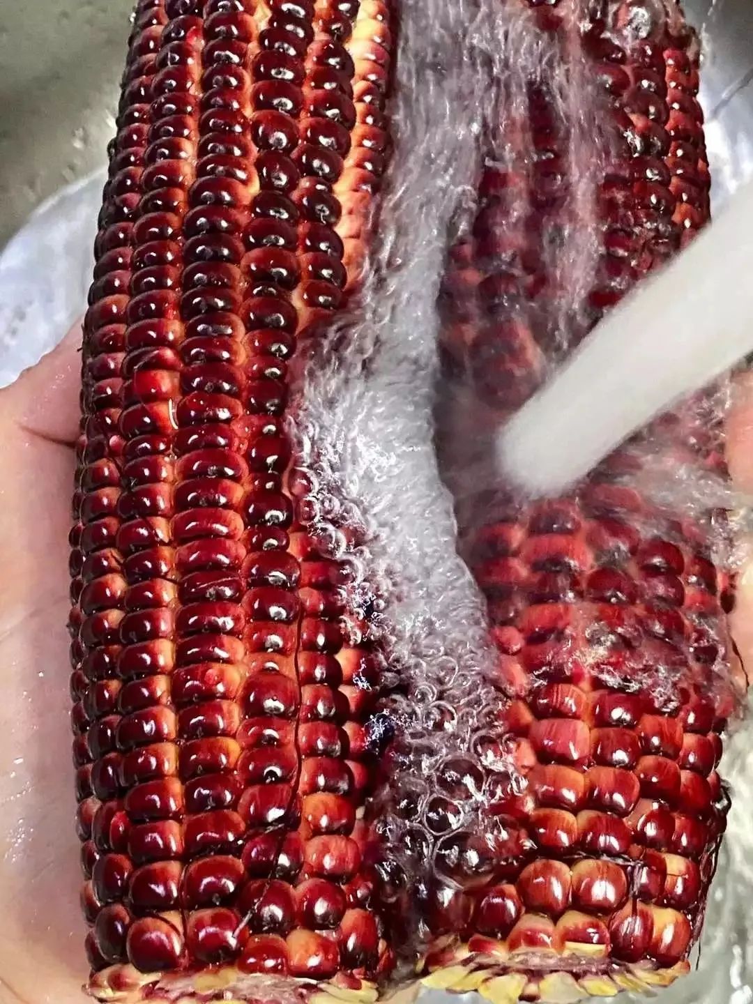 富硒面粉很硬吗吗(富硒面粉是低筋面粉吗)-硒宝网