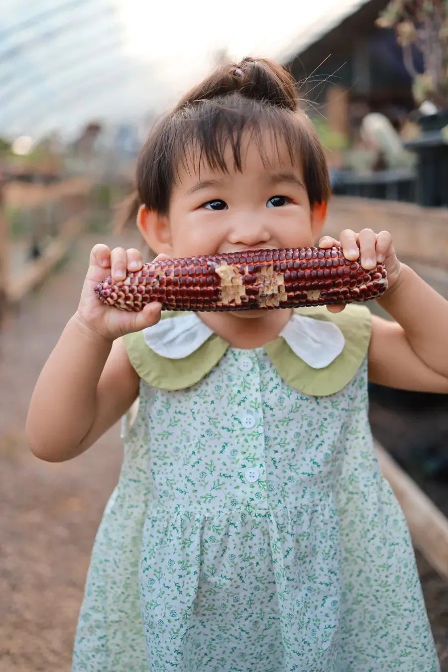 富硒面粉很硬吗吗(富硒面粉是低筋面粉吗)-硒宝网