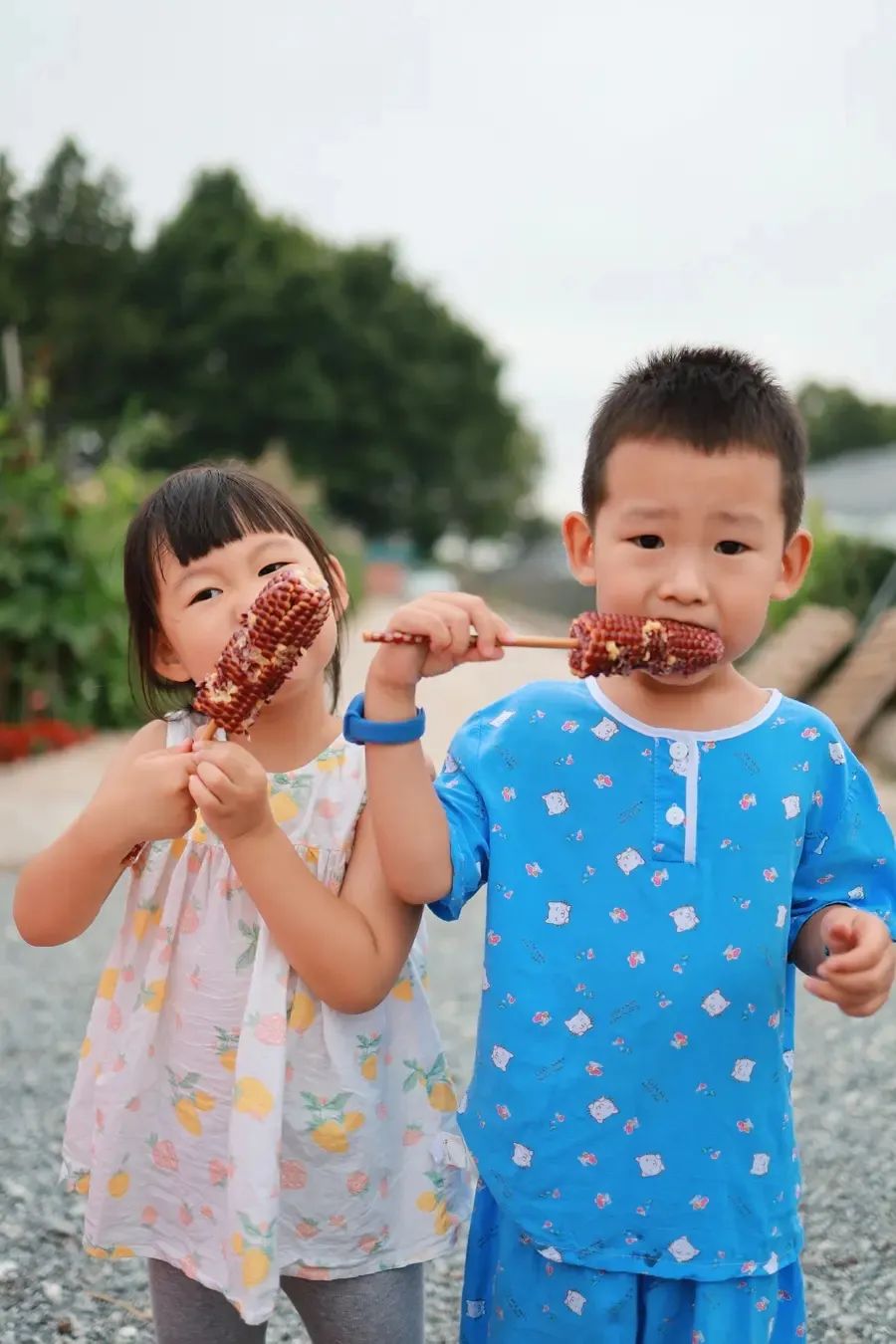 富硒面粉很硬吗吗(富硒面粉是低筋面粉吗)-硒宝网