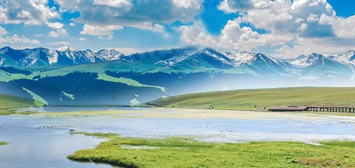 富硒面粉很硬吗吗(富硒面粉是低筋面粉吗)-硒宝网