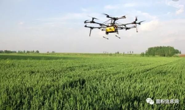 富硒面粉加工工艺(面粉加工工艺富硒含量)-硒宝网