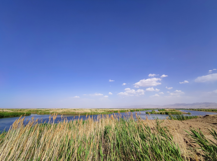 富硒小麦面粉观摩（富硒小麦面粉多少钱一斤）-硒宝网
