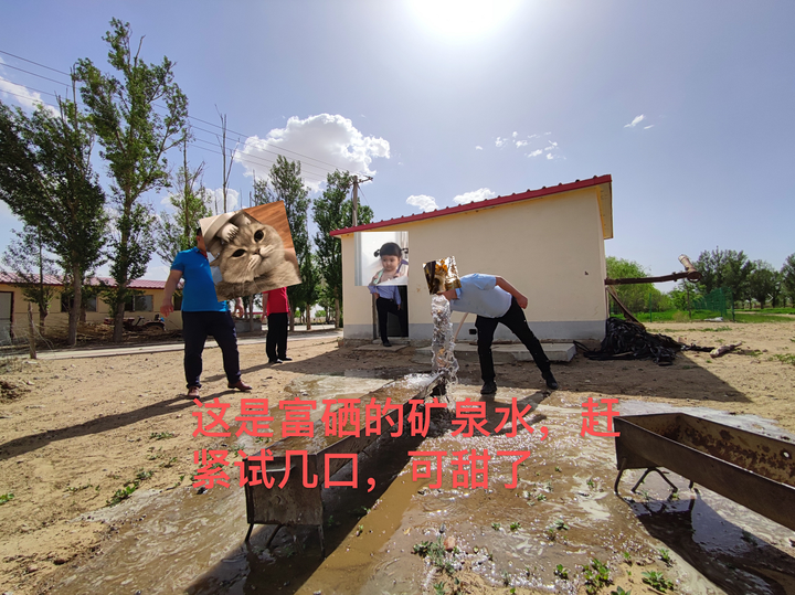 富硒小麦面粉观摩（富硒小麦面粉多少钱一斤）-硒宝网