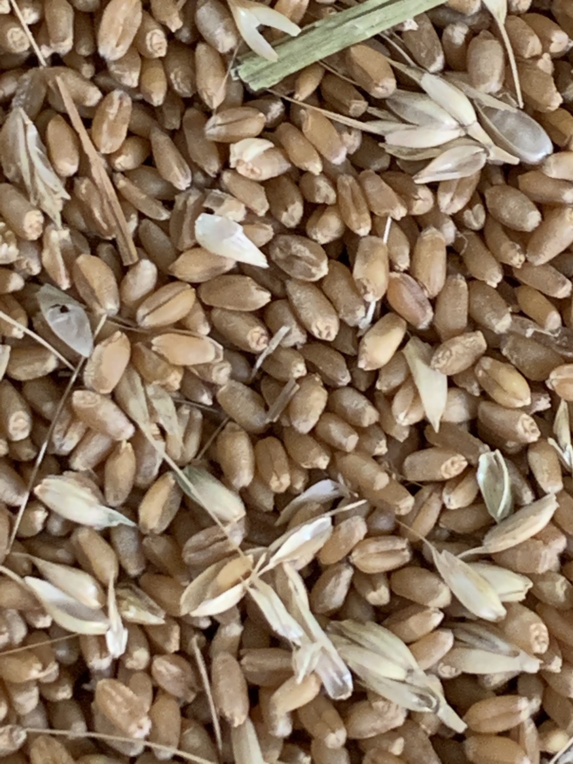 乌达富硒面粉标准(富硒面粉和普通面粉有什么区别)-硒宝网