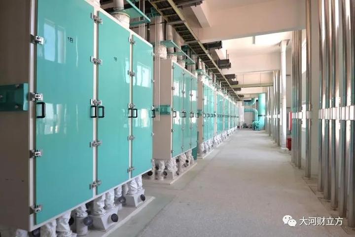 河南富硒小麦面粉(富硒小麦粉怎么吃)-硒宝网