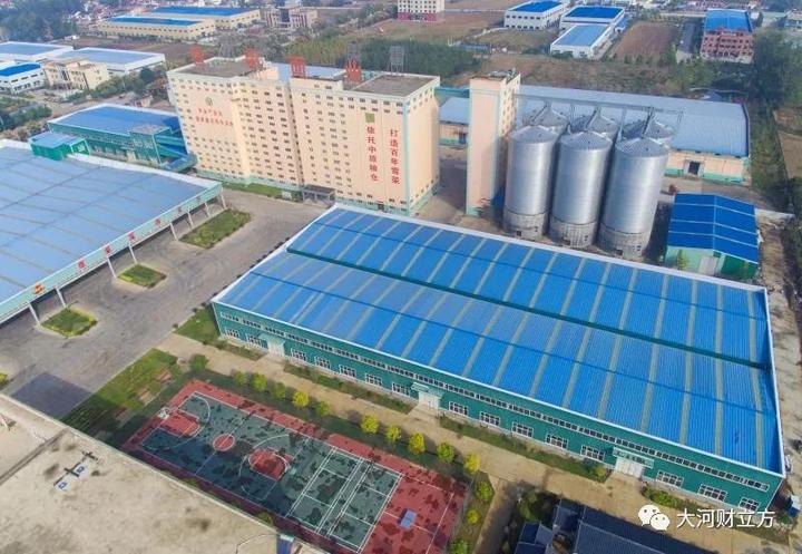 河南富硒小麦面粉(富硒小麦粉怎么吃)-硒宝网