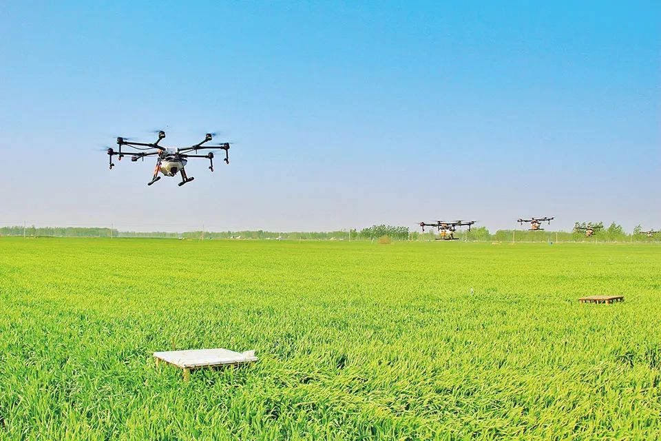 富硒面粉加工工艺(富硒面粉怎么做好吃)-硒宝网