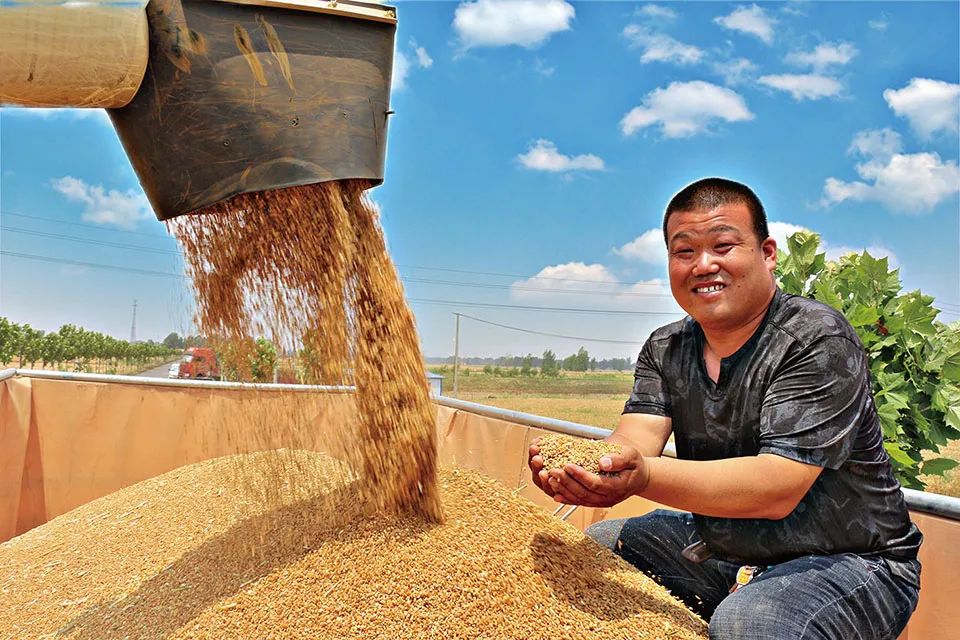 富硒面粉加工工艺(富硒面粉怎么做好吃)-硒宝网