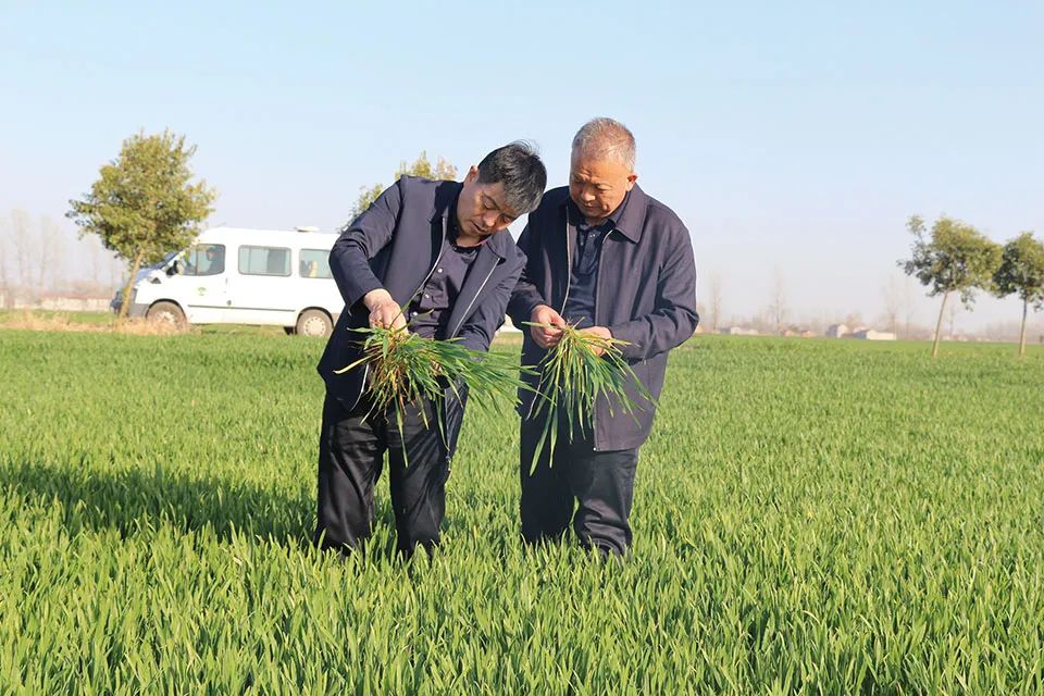 富硒面粉加工工艺(富硒面粉怎么做好吃)-硒宝网