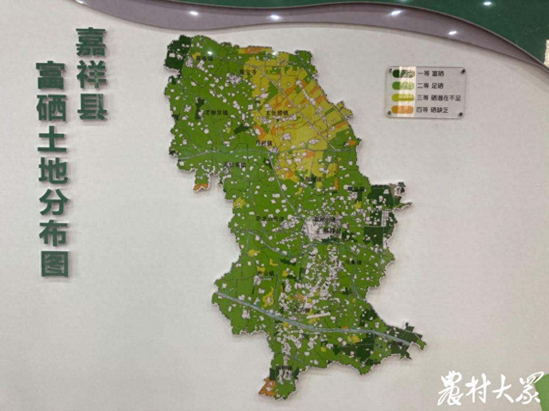 富硒有机小麦面粉(小麦面粉机富硒有什么用)-硒宝网