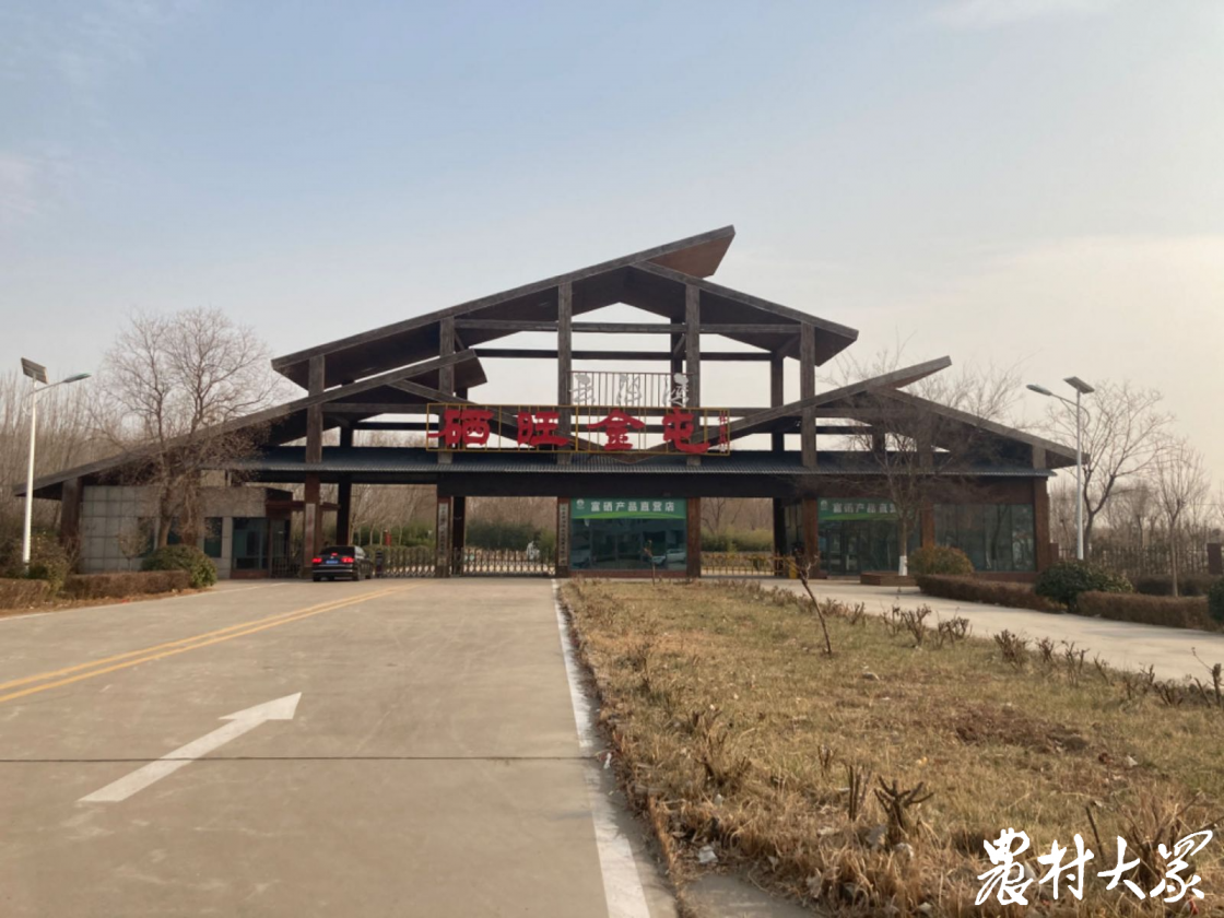 富硒有机小麦面粉(小麦面粉机富硒有什么用)-硒宝网