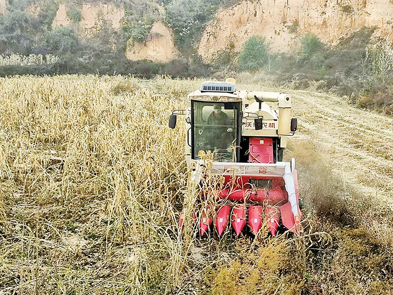 山西富硒面粉包装（富硒面粉产地）-硒宝网