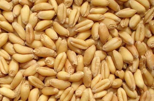 富硒营养膳食面粉（面粉含硒好吗）-硒宝网