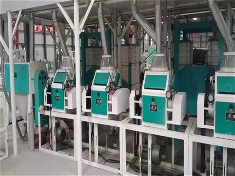 南阳富硒小麦面粉(富硒小麦面粉多少钱一斤)-硒宝网