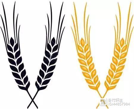 新疆富硒黑麦面粉(富硒黑麦面粉做什么吃)-硒宝网