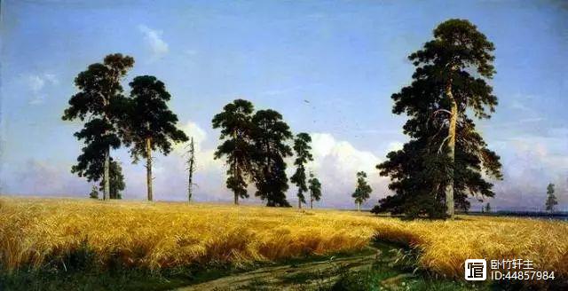 新疆富硒黑麦面粉(富硒黑麦面粉做什么吃)-硒宝网