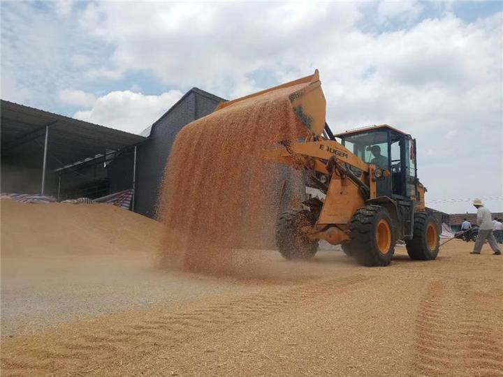 柯坪富硒面粉价格（富硒面粉生产企业）-硒宝网