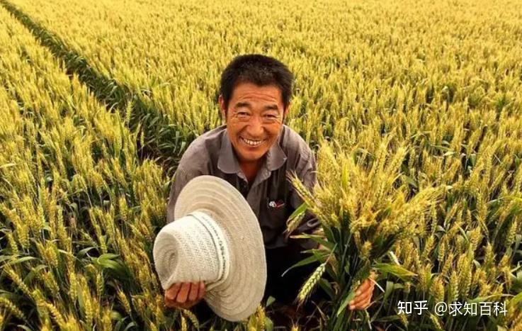 富硒面粉价格多少(富硒面粉生产企业)-硒宝网