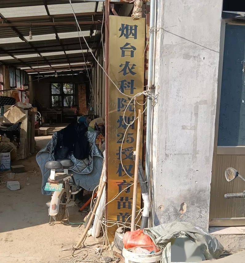 济南富硒面粉市场（济南富硒西瓜）-硒宝网