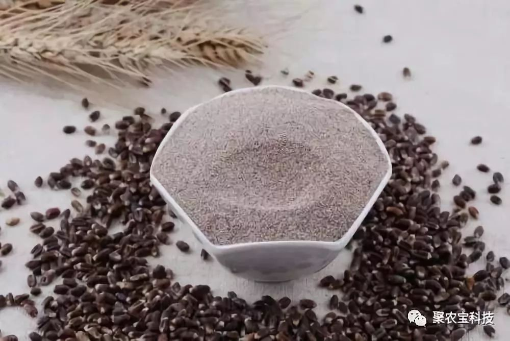 陕西富硒小麦面粉(富硒小麦产地)-硒宝网