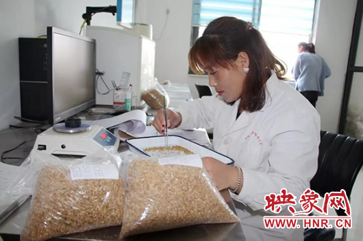 河南永城富硒面粉(永城富硒小麦)-硒宝网