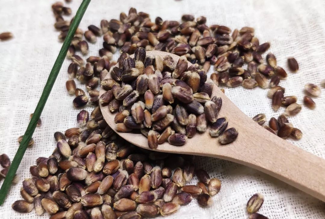 甘肃富硒小麦面粉(富硒小麦怎样才能合格标准)-硒宝网