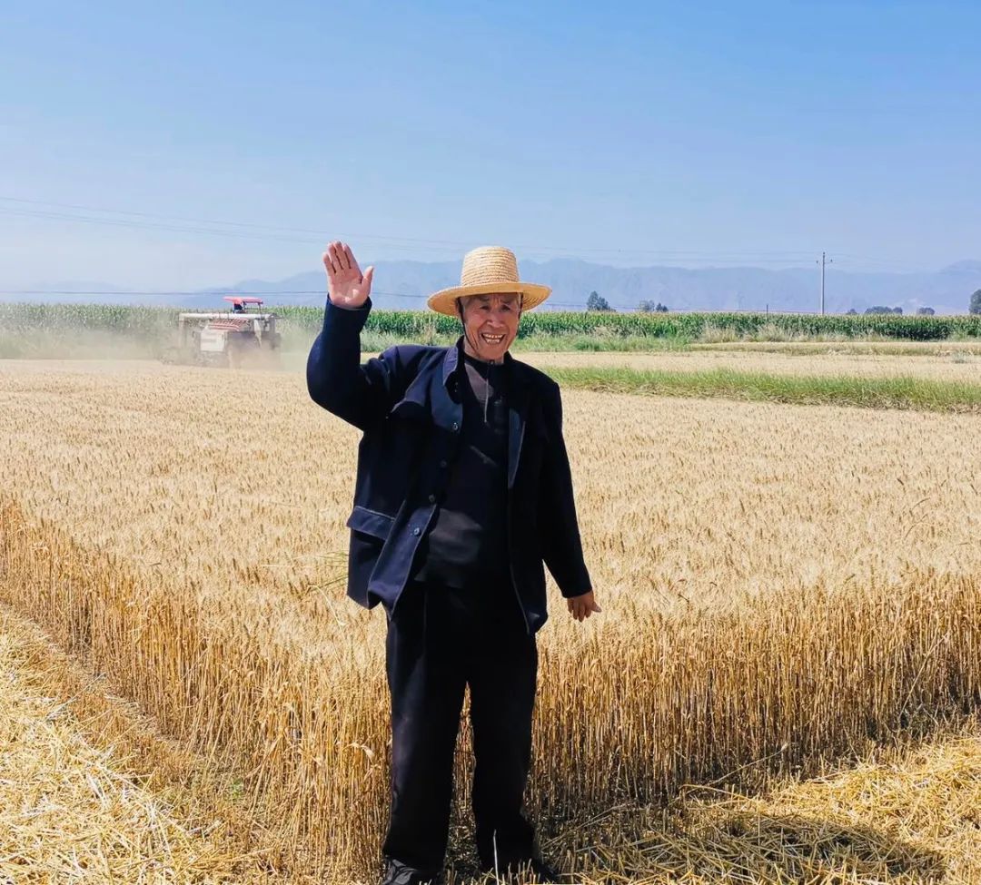 甘肃富硒小麦面粉（小麦富硒标准）-硒宝网