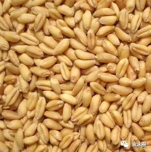 富硒面粉怎样存放（面粉存放富硒还是碱性）-硒宝网