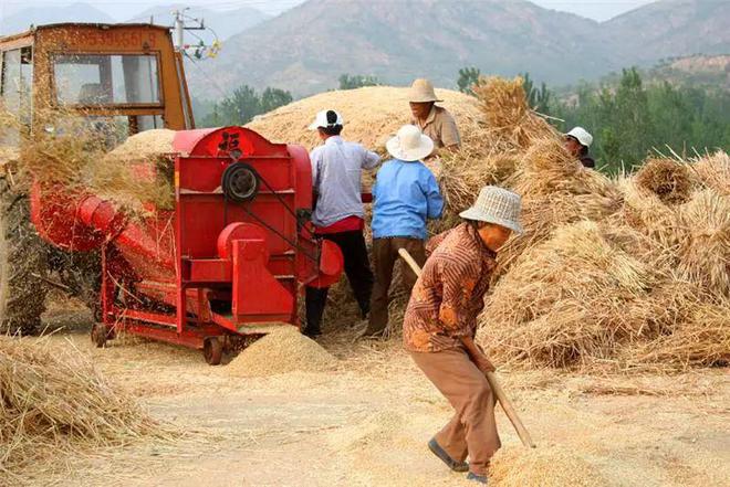临沂富硒面粉价格(富硒面粉生产企业)-硒宝网