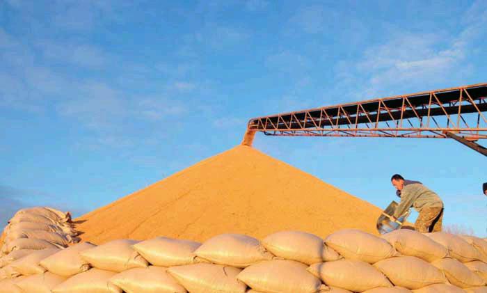 富硒石磨小麦面粉(富硒小麦粉怎么吃)-硒宝网