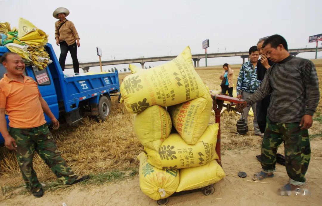 富硒石磨小麦面粉(富硒小麦粉怎么吃)-硒宝网