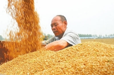 富硒面粉怎么种植(富硒营养面粉怎么用)-硒宝网