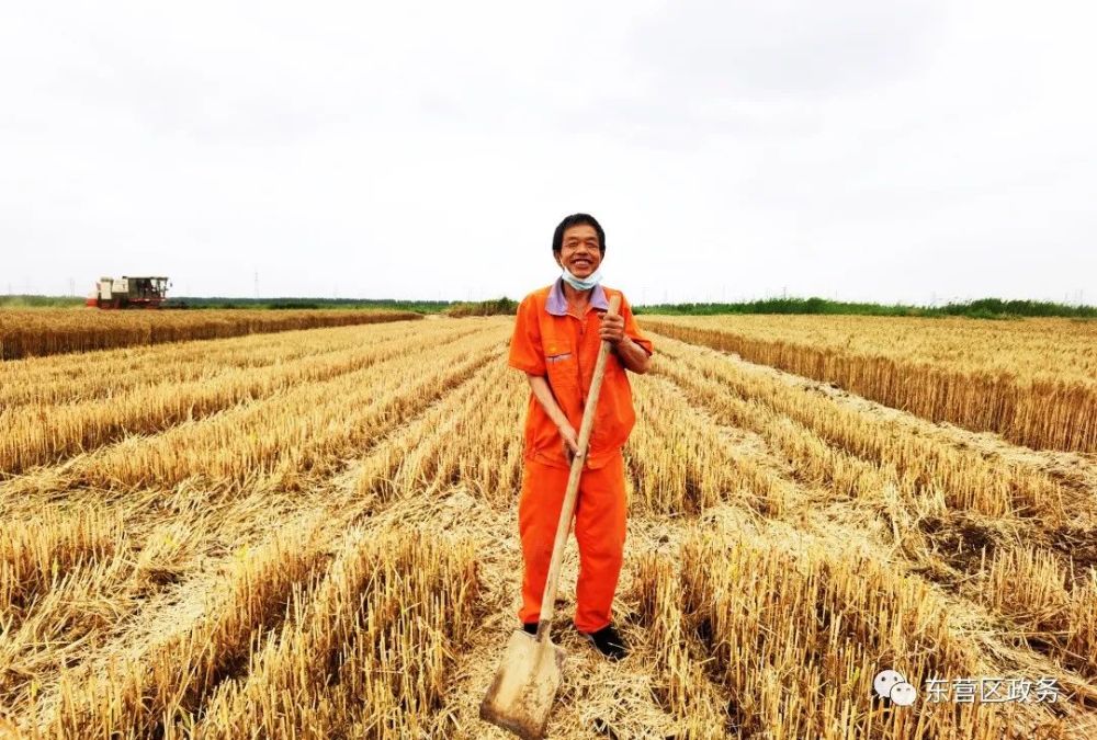 富硒面粉怎么种植(富硒营养面粉怎么用)-硒宝网