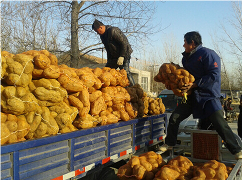 富硒面粉怎么种植(富硒营养面粉怎么用)-硒宝网