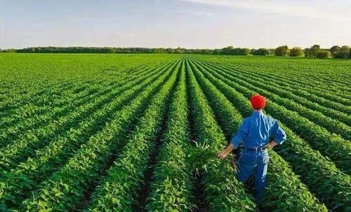 海南富硒面粉标准(富硒面粉价格)-硒宝网