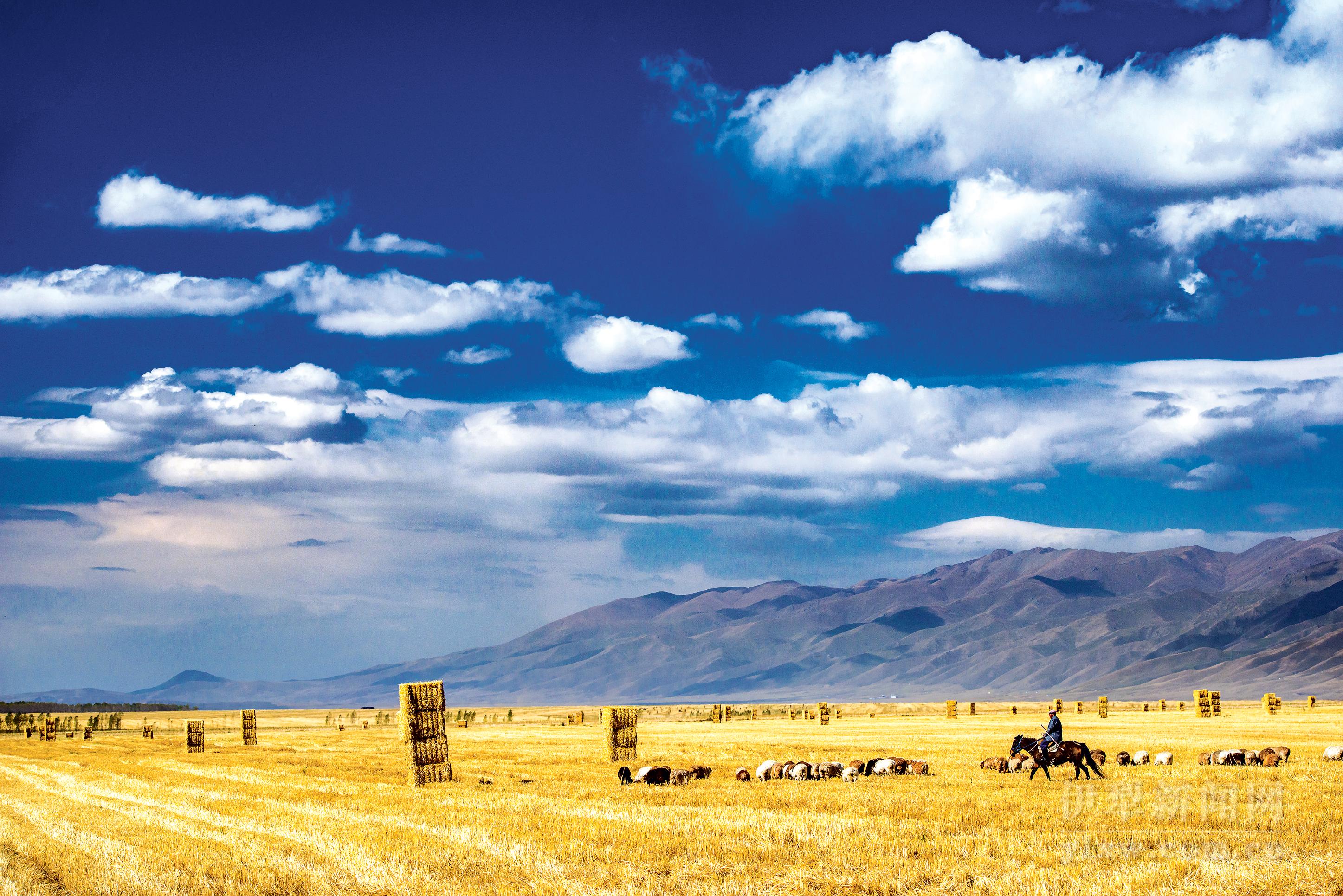 山杉富硒面粉价格(富硒面粉标准)-硒宝网
