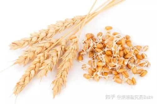 富硒面粉做法大全（富硒面粉的做法）-硒宝网