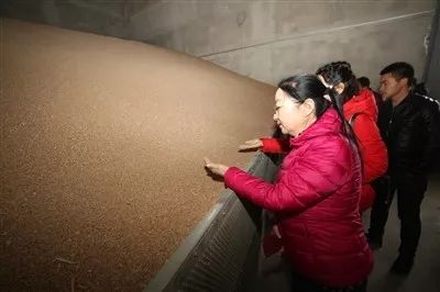 富硒小面粉真的吗（富硒面粉和普通面粉有什么区别）-硒宝网