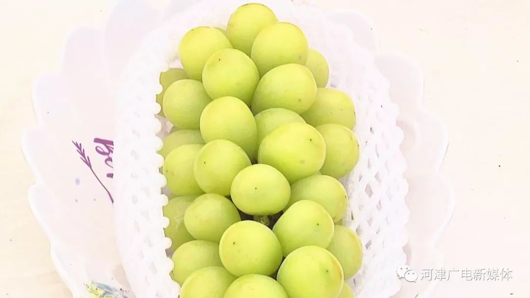 富硒面粉五斤价格(富硒面粉生产企业)-硒宝网