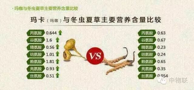 富硒人参玛卡面粉(富硒人参纯粉片)-硒宝网