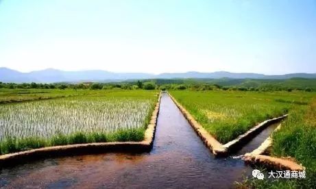 富硒面粉五斤价格（富硒面粉的价格）-硒宝网