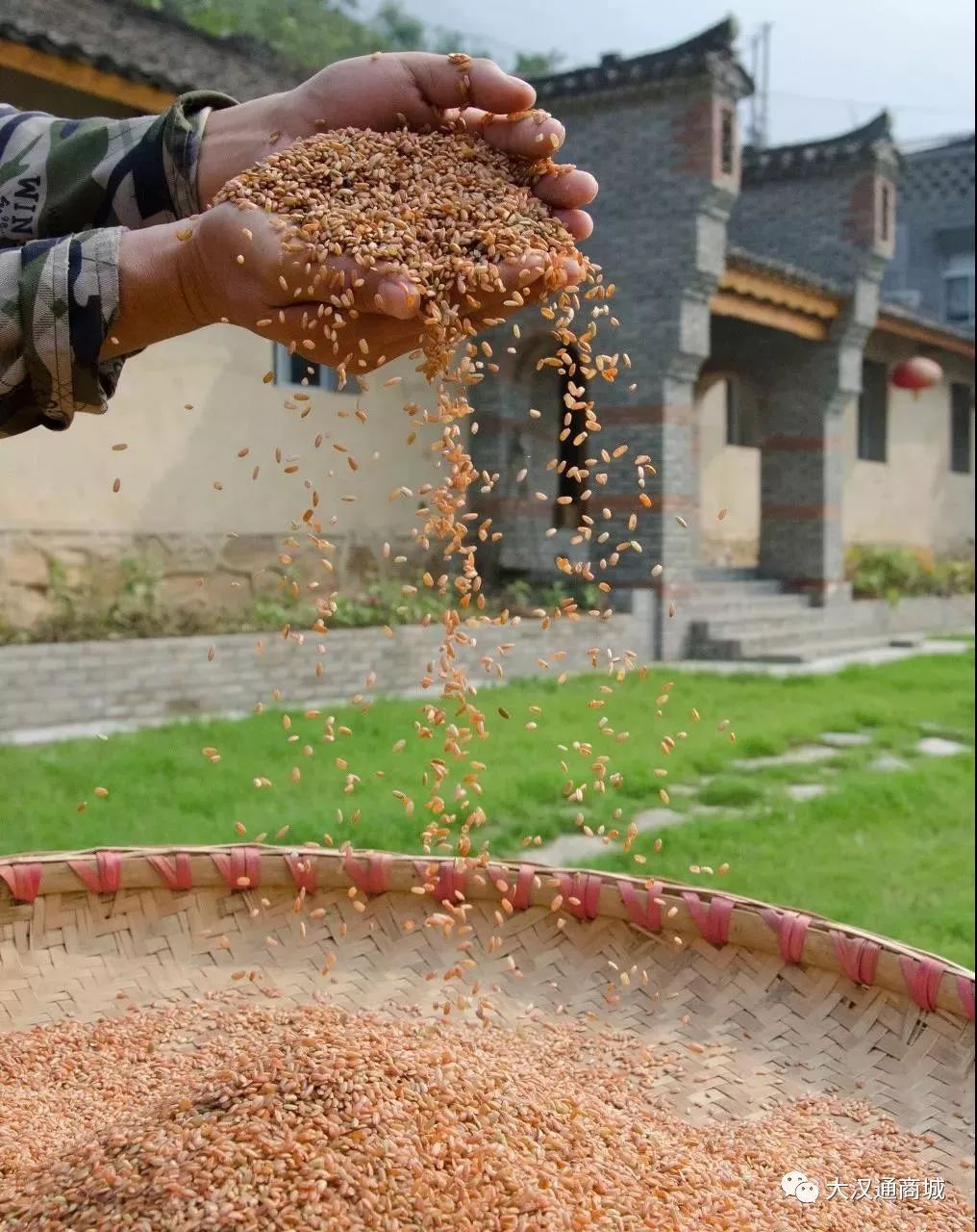 富硒面粉五斤价格（富硒面粉的价格）-硒宝网